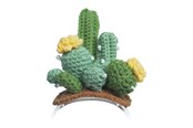 Gadget - Loona Premium Cactus Knitted Costume - 99904CK00015