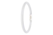 LED-Birnen - Osram LED-Lampe T5 Performance FC external 22mm 1550lm 11.6W/830 2GX13 - 4099854300806