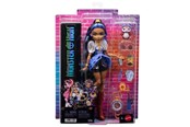 Dolls & Accessories - Monster High JMB81 doll - JMB81