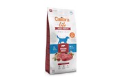 Hunde - Calibra Dog Life Adult Medium Fresh Beef - dry dog food - 12kg - 8595706701211