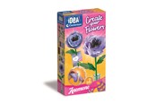 Kreativ-Spiele - Clementoni Create Your Flowers Anemone - 18346