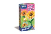 Kreativ-Spiele - Clementoni Create Your Flowers Sunflower - 18347