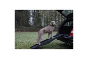 Hunde - Nobby Hunderampe 152 x 40 cm - L76325
