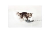 Katzen - Nobby Drikke fontæne Cascade 1.5 L - L72144