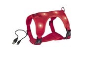 Hunde - Nobby Seletøj Flash Mesh L Rød - L80752-01