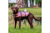 Hunde - Nobby Redningsvest Sharki Pink S - L61037