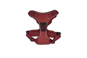 Hunde - 51 Degrees North 51 - Wanderful - H Harness - Trail - Burgundy - XS - 51AWFHT202