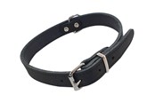 Hunde - Nobby Halsbånd TABIL 45 cm (35-40 cm) 18 mm Sort - L80922-05