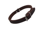 Hunde - Nobby Halsbånd TABIL 35 cm (26-31 cm) 14 mm Brun - L80920-03