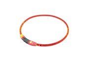 Hunde - Nobby LED halsbånd VISIBLE L - 65 cm - L78265
