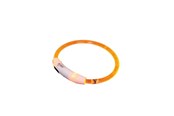 Hunde - Nobby LED halsbånd VISIBLE S - 35 cm - L78263