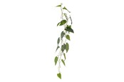 Einrichtung - Bloomingville Anthurium - 82061498