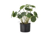 Einrichtung - Bloomingville Copper - 82061504
