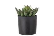 Einrichtung - Bloomingville Echeveria - 82061505