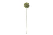 Einrichtung - Bloomingville Allium - 82061466