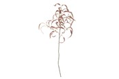 Einrichtung - Bloomingville Eucalyptus - 82061470