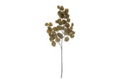Einrichtung - Bloomingville Eucalyptus - 82061474