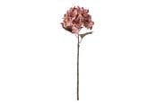 Einrichtung - Bloomingville Hydrangea - 82061475