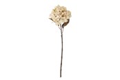 Einrichtung - Bloomingville Hydrangea - 82061476