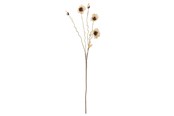 Einrichtung - Bloomingville Poppy - 82061478