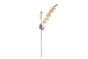 Einrichtung - Bloomingville Larkspur - 82061480