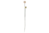 Einrichtung - Bloomingville Phlox - 82061506