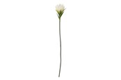 Einrichtung - Bloomingville Lily - 82061508