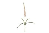 Einrichtung - Bloomingville Foxtail - 82061510