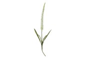 Einrichtung - Bloomingville Foxtail - 82061511