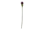 Einrichtung - Bloomingville Lily - 82061512