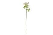 Einrichtung - Bloomingville Fennel - 82061513