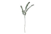 Einrichtung - Bloomingville Eucalyptus - 82061514