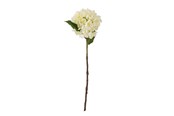 Einrichtung - Bloomingville Hydrangea - 82061515
