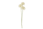 Einrichtung - Bloomingville Allium - 82061516