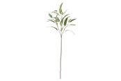 Einrichtung - Bloomingville Eucalyptus - 82061520