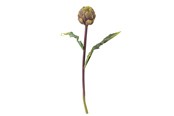 Einrichtung - Bloomingville Protea - 82061523