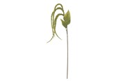 Einrichtung - Bloomingville Foxtail - 82061539