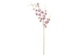 Einrichtung - Bloomingville Orchid - 82072092