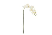 Einrichtung - Bloomingville Orchid - 82072093