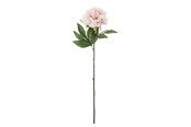 Einrichtung - Bloomingville Peony - 82072094