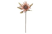 Einrichtung - Bloomingville Protea - 82072832