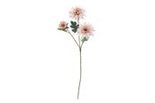 Einrichtung - Bloomingville Chrysantemum - 82072834