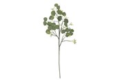 Einrichtung - Bloomingville Eucalyptus - 82072835