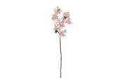 Einrichtung - Bloomingville Chrysantemum - 82072846