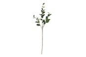 Einrichtung - Bloomingville Eucalyptus - 82072850