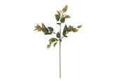 Einrichtung - Bloomingville Eucalyptus - 82072851