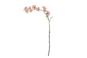 Einrichtung - Bloomingville Wild Cherry - 82072852
