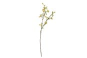 Einrichtung - Bloomingville Hawthorn - 82061509