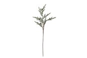 Einrichtung - Bloomingville Pine - 82072349
