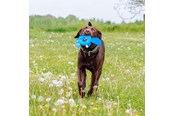 Hunde - Nobby Bæver Floating - L61512